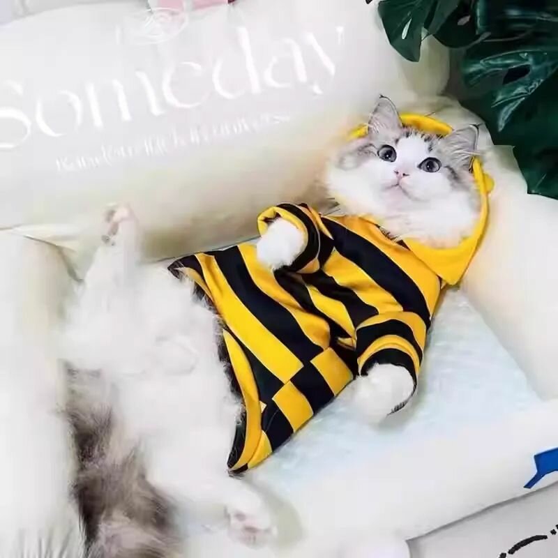 Одежда для животных — фото 1