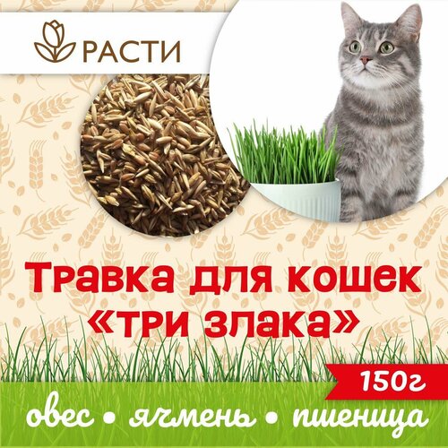 Трава для кошек (три злака) 150г. "Расти"/ Ячмень/ Овес/ Пшеница