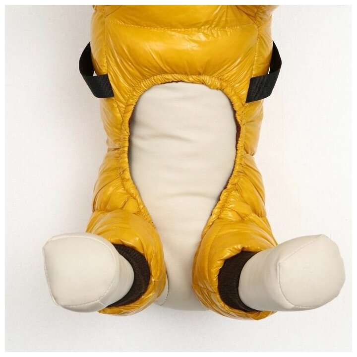 Комбинезон для собак со шлейкой"Моден", размер 12 (ДС 28, ОГ 38, ОШ 27 см), жёлтый 7980722 . - фотография № 5