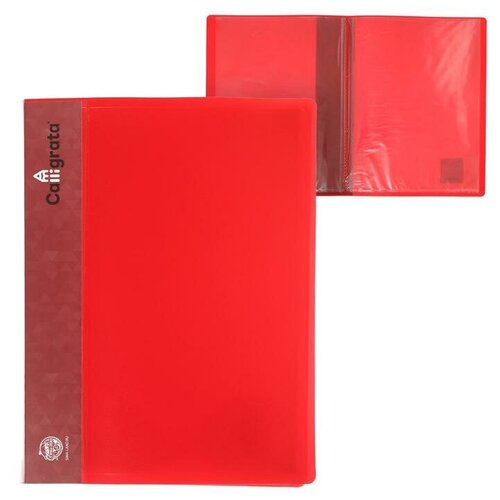 Папка с 10 вкладышами А4, 500 мкм, Calligrata, карман на корешке, красная(2 шт.) папка с 40 вкладышами а4 500 мкм карман на корешке красная