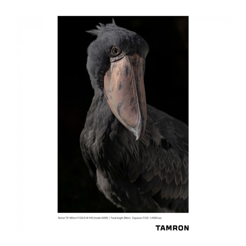 Объектив Tamron - фото №14