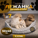 Лежанка для кошек и собак TerraBed овальная "Звездопад", серая, 5...