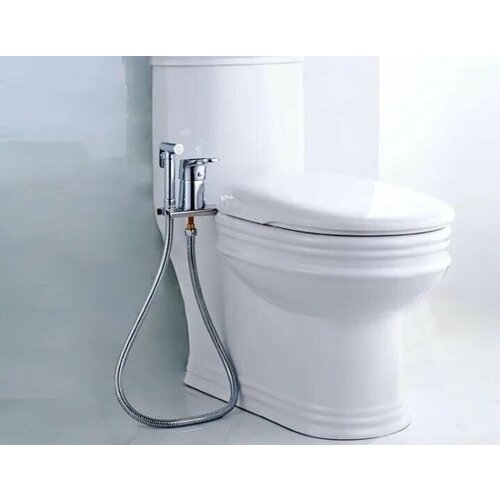 Биде приставка для унитаза с гигиеническим душем HANQE 78053 Chrome