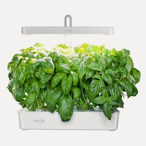 Изображение товара Гидропонная установка Cactus Garden CS-LEDPOT-10 2л 20 белый