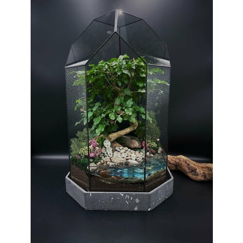 Флорариум с лигуструмом от Flolefor 