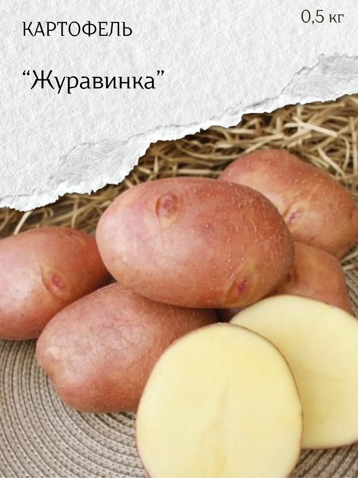Картофель семенной красный Журавинка клубни на посадку 500 гр.