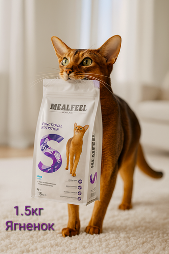 Изображение товара Mealfeel Корм сухой для стерилизованных кошек, с ягненком, 1,5 кг
