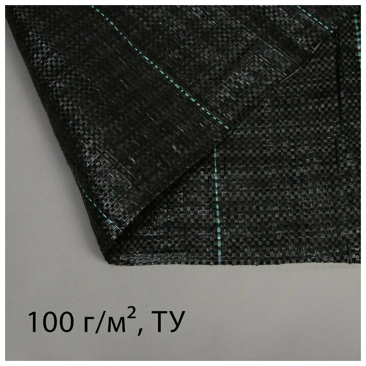 Greengo Агроткань застилочная, с разметкой, 5 x 1,1 м, плотность 100 г/мx, полипропилен, чёрная - фотография № 3