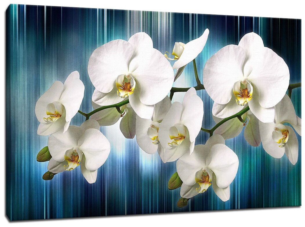 Картина Уютная стена "Орхидея на движущемся фоне" 100х60 см
