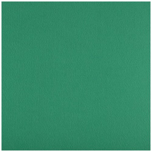 фетр декоративный premium gamma цвет 935 зеленый 33х53 см арт fks12 33 53 Фетр декоративный Premium Gamma, цвет: 935 зеленый, 33х53 см, арт. FKS12-33/53