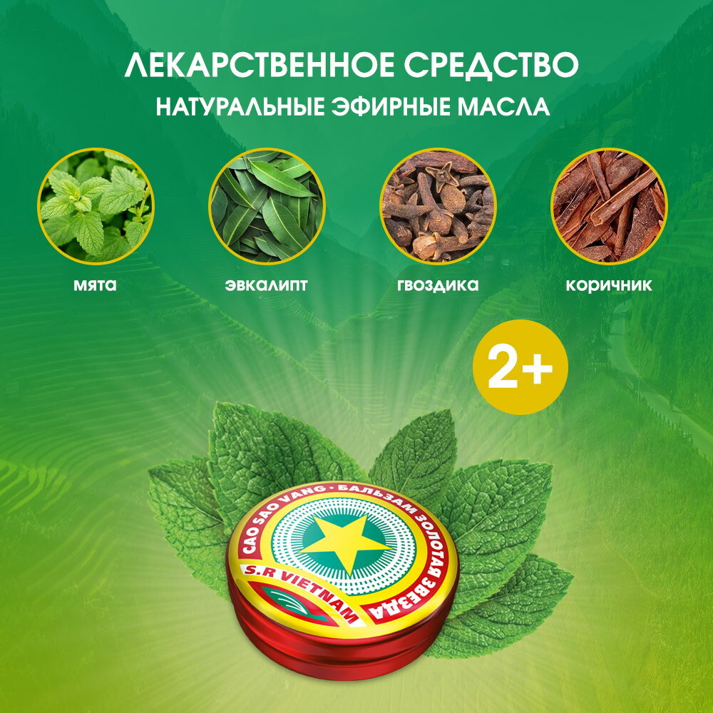 Изображение Золотая звезда бальзам мазь д/нар. прим., 0.5 мл, 4 г
