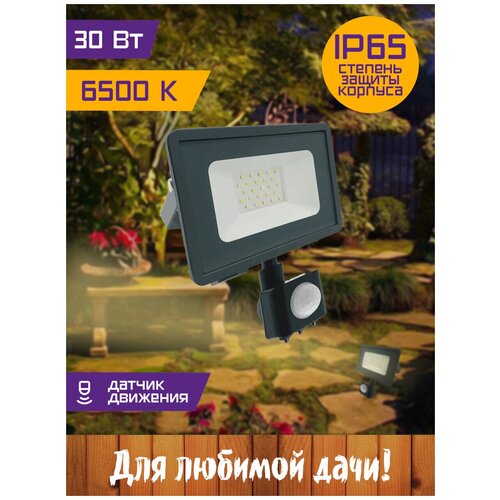 Прожектор светодиодный СДО 30Вт 6500К IP65 с датчиком серый Фарлайт