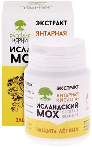 Фото Исландский мох + Янтарная кислота, 60 капс.