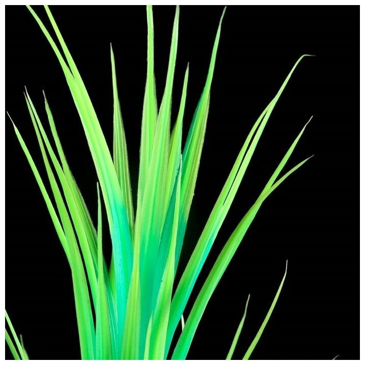 Растение аквариумное Пижон Аква искусственное, светящееся, 30 см, зеленое - фотография № 4