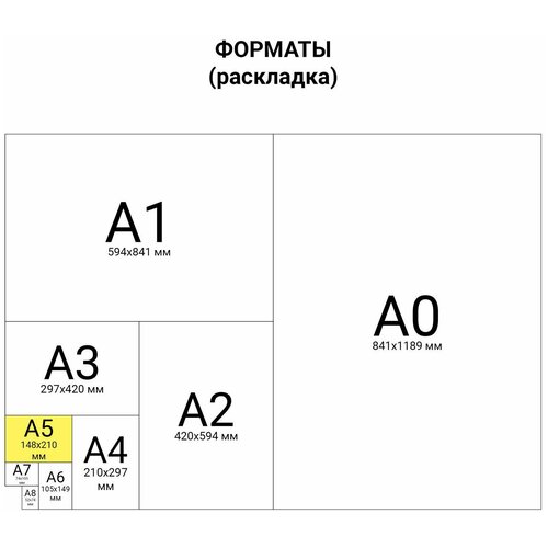 Дневник читательский А5, 40 л, скоба, обложка картон, пифагор, 