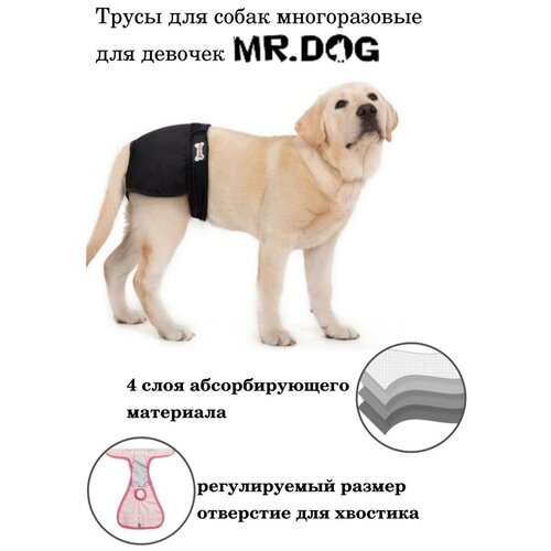 Трусы для собак многоразовые Mr Dog для девочек черные, памперс для собак, подгузник для собак, S (23-34 см)