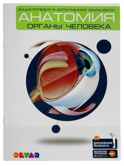 Энциклопедия 4D в дополненной реальности "Анатомия: органы человека"./В упаковке шт: 1