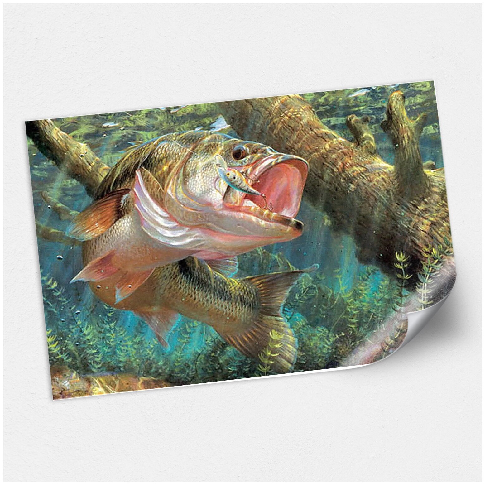 Интерьерный плакат с рыбой / Постер для оформления рыболовного магазина / А-3 (42x30 см.)