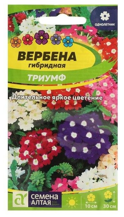 Семена цветов Вербена 