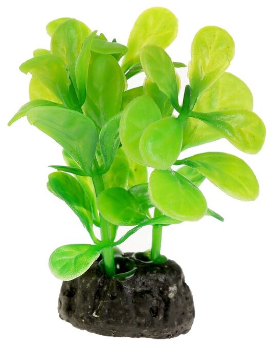 Растение искусственное аквариумное малое 6 см - фотография № 4