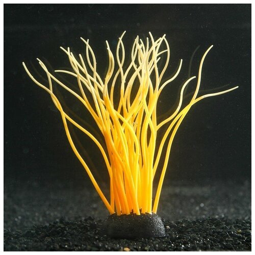 Декор для аквариума Анемон, силиконовый, светящийся в темноте, 5 х 15 см, оранжевый./В упаковке шт: 1
