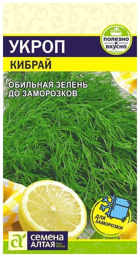 Укроп Кибрай (Семена Алтая), 2 г. Свежая зелень до заморозков!