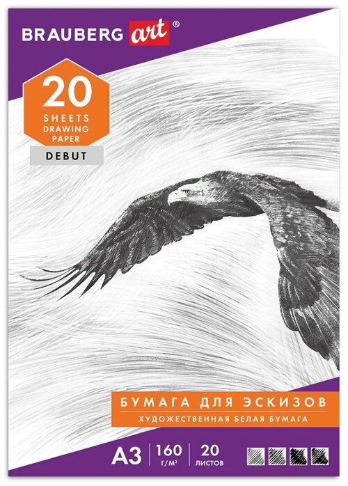 Набор папок для рисования BRAUBERG Орел  42 х 29.7 см (A3), 160 г/м², 20 л. 3 шт.