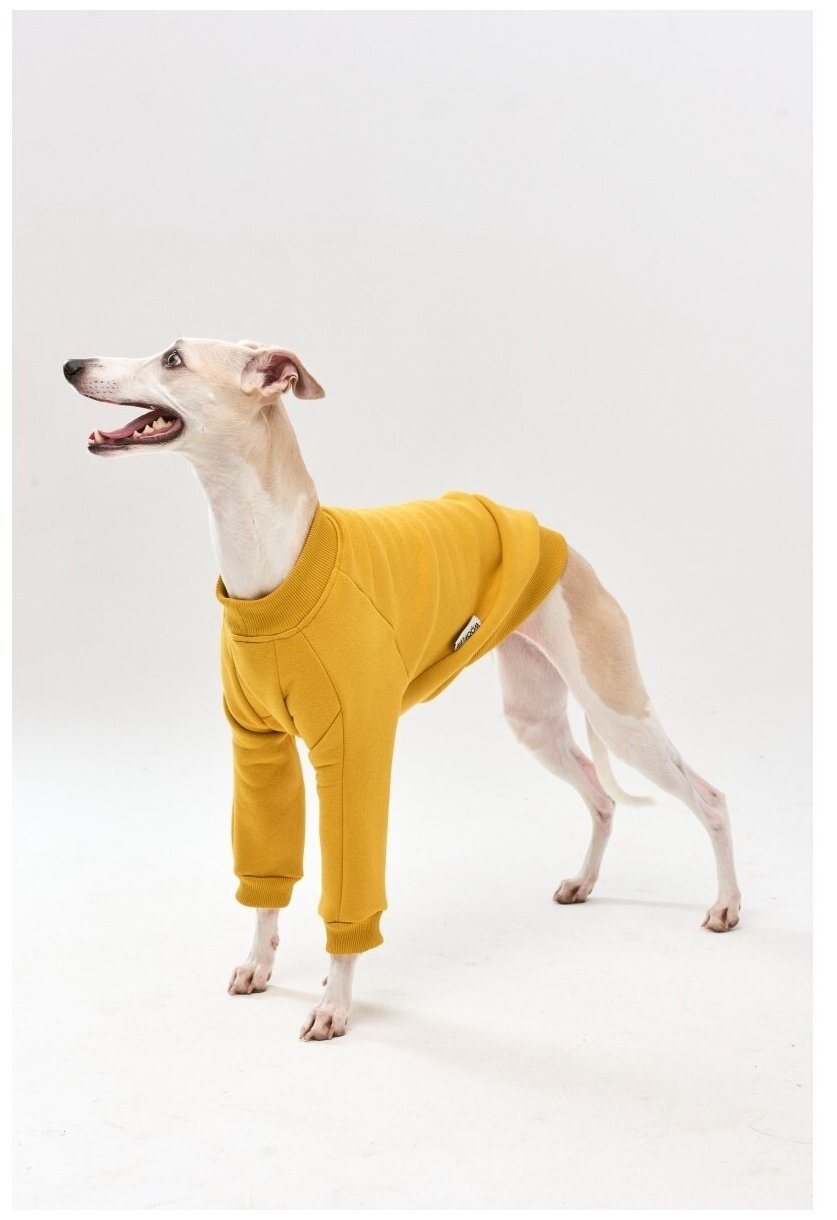 WOOFLER / Свитшот теплый для уиппета, толстовка из футера, подходит для борзых, одежда для собак средних пород, цвет желтый, размер M44 - фотография № 1