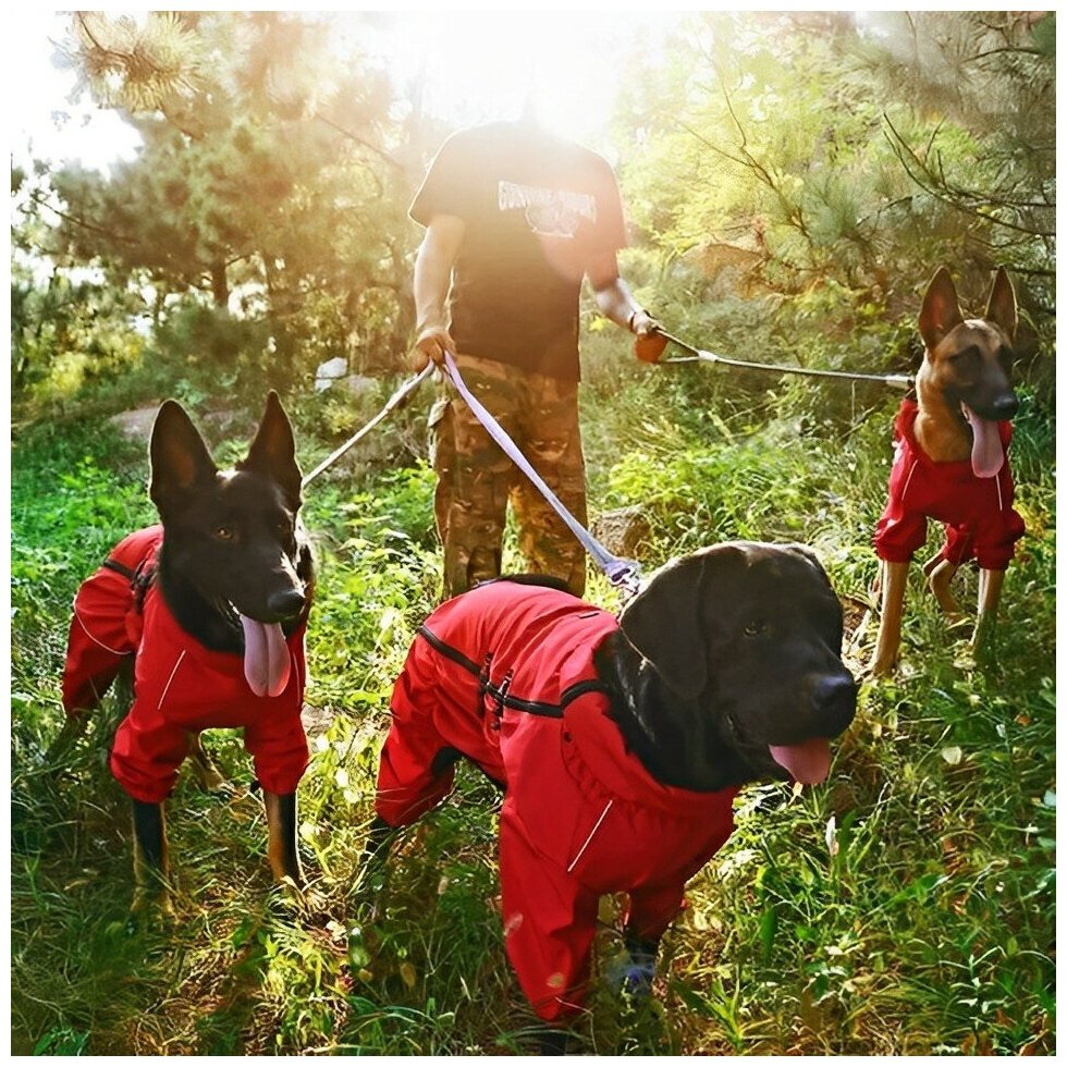 Комбинезон Дождевик для собак Asmpet водонепроницаемый, р-р XXL, красный - фотография № 10