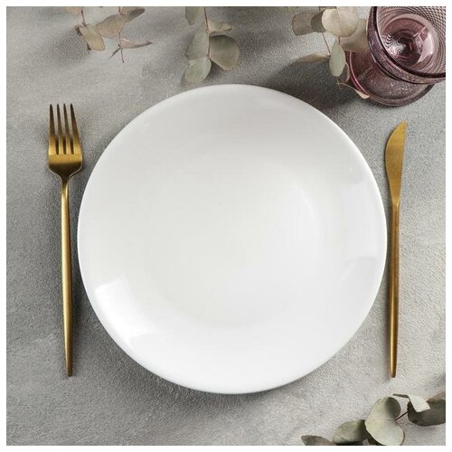 Тарелка обеденная White Label, d-25 см, цвет белый