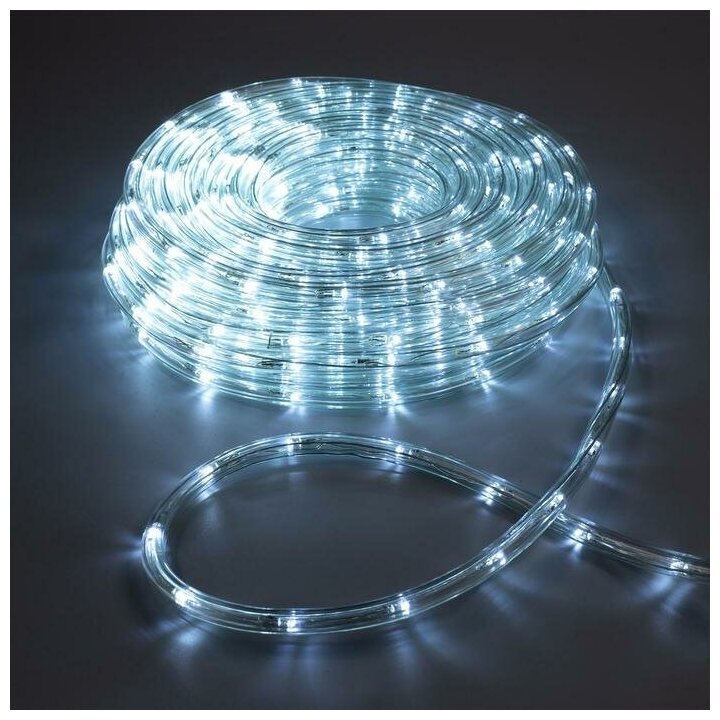 LED шнур 10 мм, круглый, 20 м, чейзинг, 2W-LED/м-24-220V, с контр. 8р, белый - фотография № 2