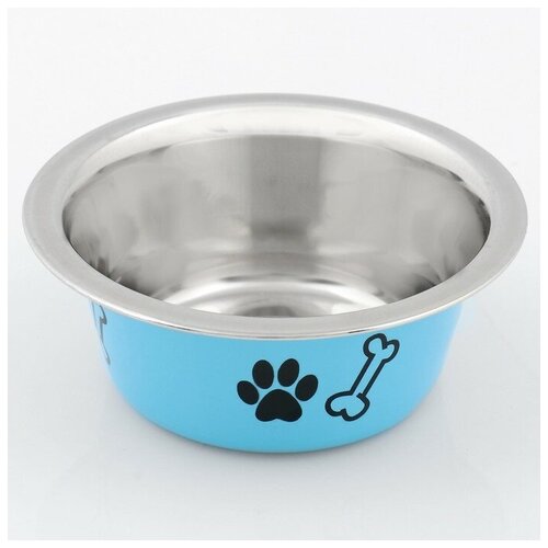 фото Миска стандартная цветная с принтом, 240 мл, голубая qwen