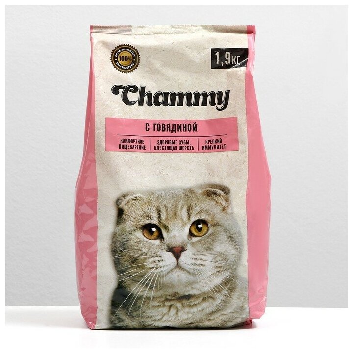 Полнорационный сухой корм Chammy для кошек с говядиной,1.9кг - фотография № 5