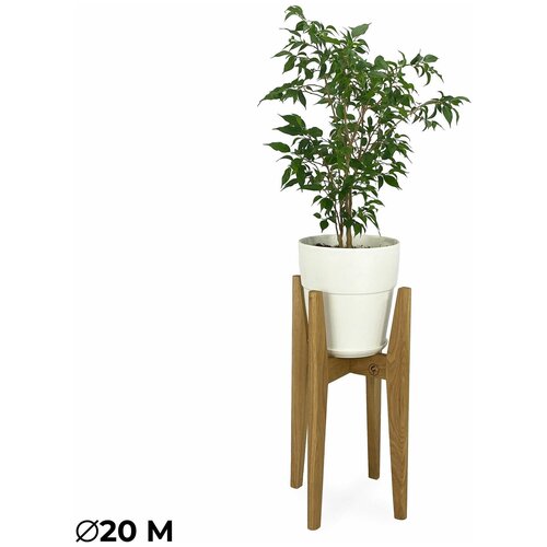 Подставка для цветов и растений напольная деревянная Карл от Flora Urban диаметр: 20 см, высота: 50 см, размер: M, цвет: Дуб натуральный