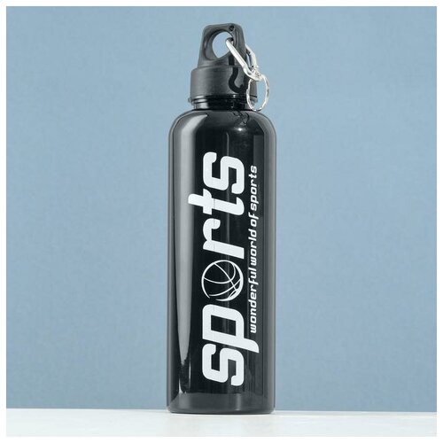 Бутылка для воды 700 мл на карабине 25x68 см чернаяВ упаковке шт 1 600₽