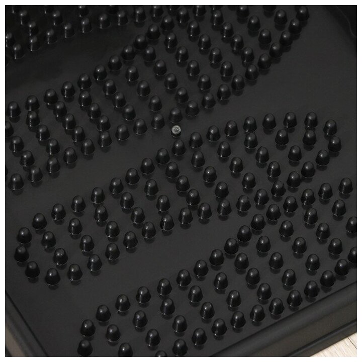 Darel plastic Лоток для обуви, 43×39 см, цвет чёрный - фотография № 4
