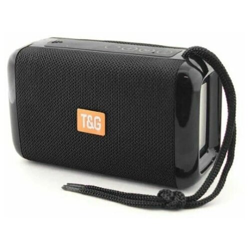 Беспроводная колонка T G TG-163 черный 79400₽