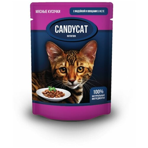 Пауч CANDYCAT Мясные кусочки для кошек с индейкой и овощами в желе 85г