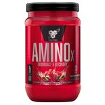 Аминокислотный комплекс BSN Amino-X, 435 гр Арбуз - изображение