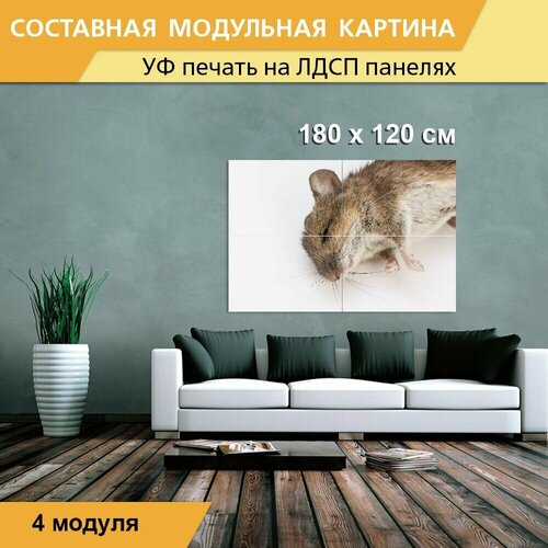 Модульная картина 