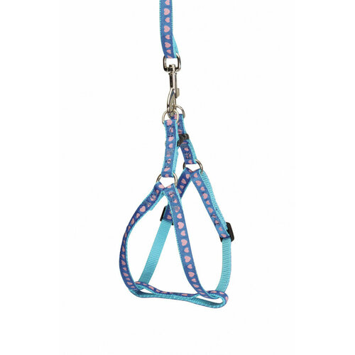 Camon шлейка с поводком для собак 