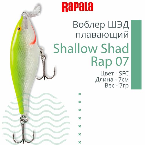 Shallow Shad Rap SSR09