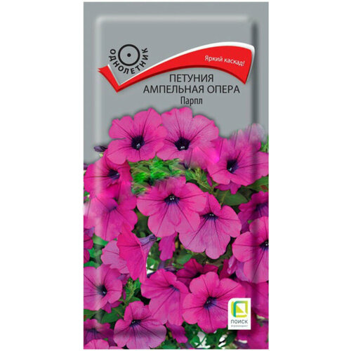 Петуния 