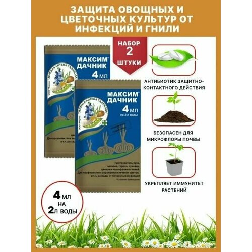 Защита растений от гнилей максим дачник, 2 шт по 4 мл / Зеленая Аптека Садовода фунгицид максим дачник зелёная аптека садовода от гнилей и инфекций 2 мл