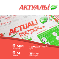 6 мм сотовый поликарбонат для теплиц актуаль! Bio, длина 6 метров