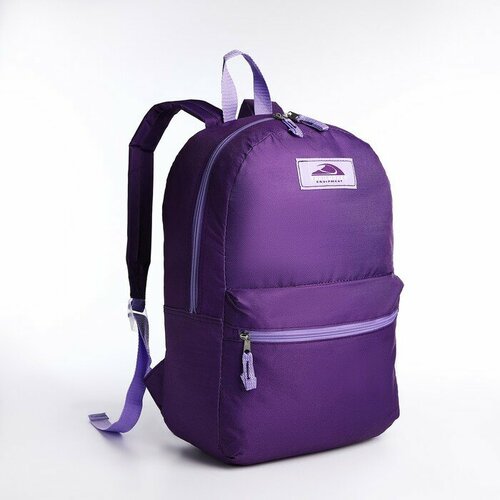Рюкзак на молнии, наружный карман, цвет фиолетовый рюкзак лисы 28 14 42 отд на молнии н карман фиолетовый
