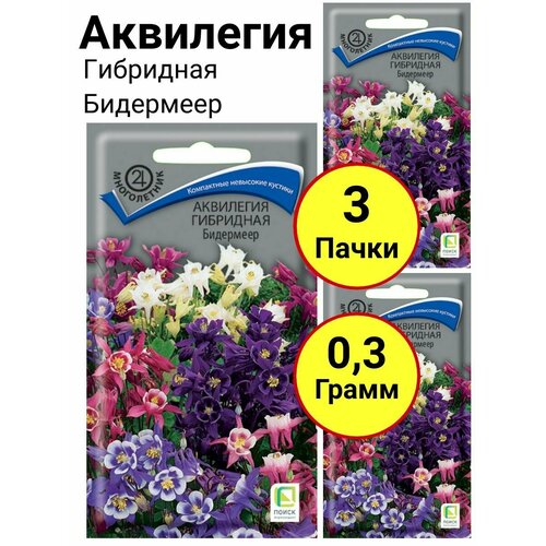 Аквилегия гибридная Бидермеер 0,1 грамм, Поиск - 3 пачки георгина радуга 0 3 грамм поиск 3 пачки