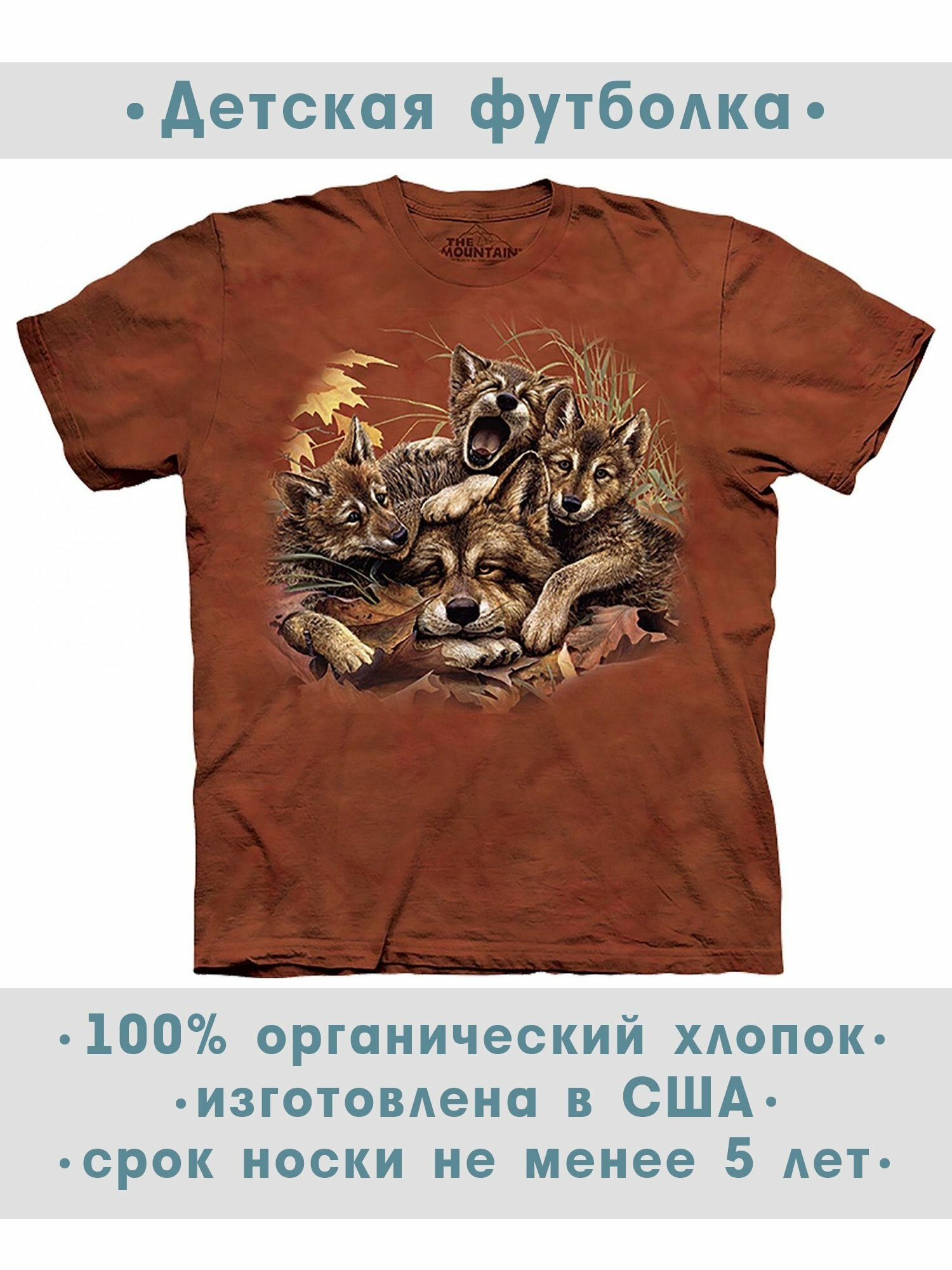 Футболка детская The Mountain "Rise n Shine"