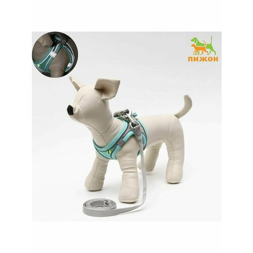 Комплект с мягкой шлейкой, быстросъемный, XS, поводок 150 х1