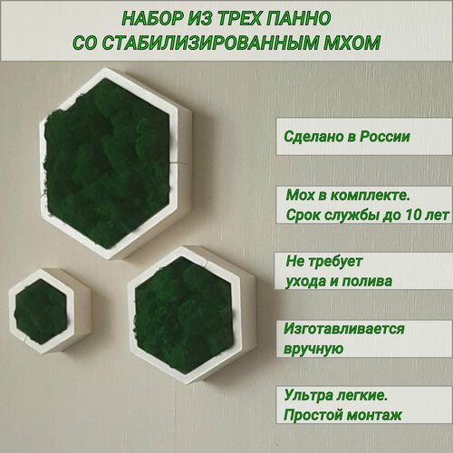 Декоративные панно - кашпо на стену со мхом / соты 10, 15, 20 см / матовые белые белый